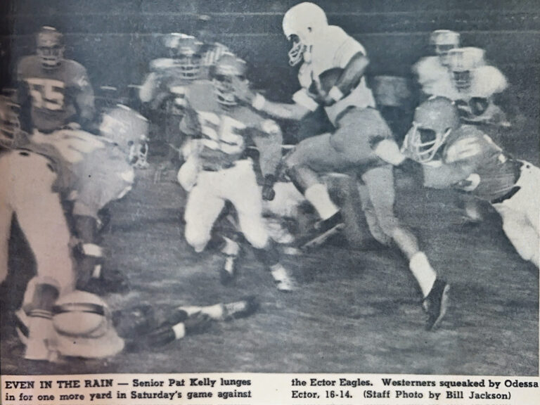 Pat Kelly, photo 7